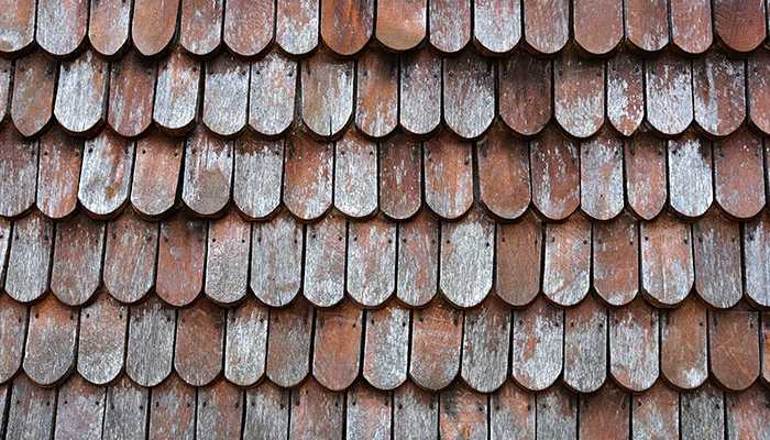How to Shingle a Shed Roof? Steps, Materials, and More